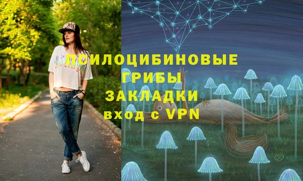 спиды Няндома