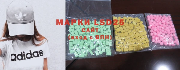 индика Новозыбков