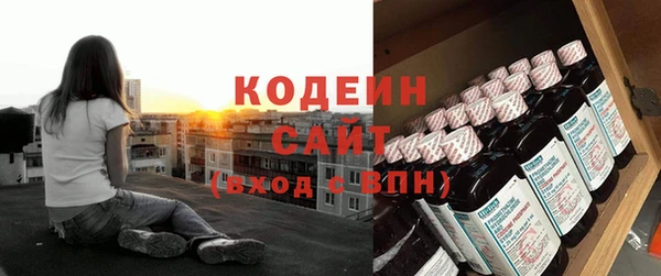 спиды Няндома