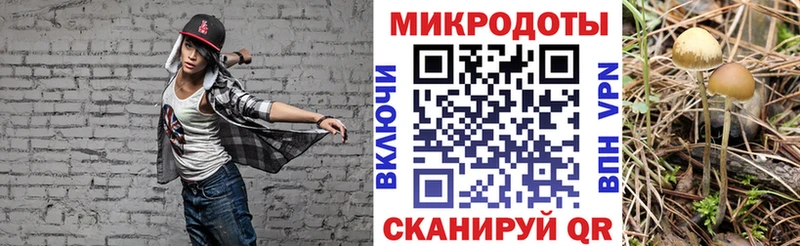 Галлюциногенные грибы прущие грибы  Липки 